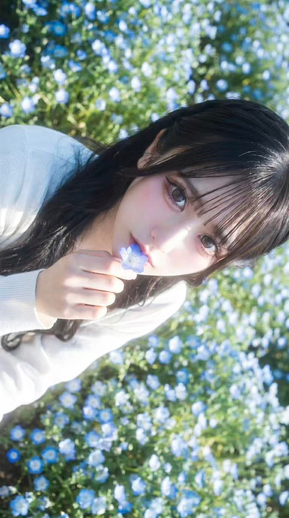 Koharu