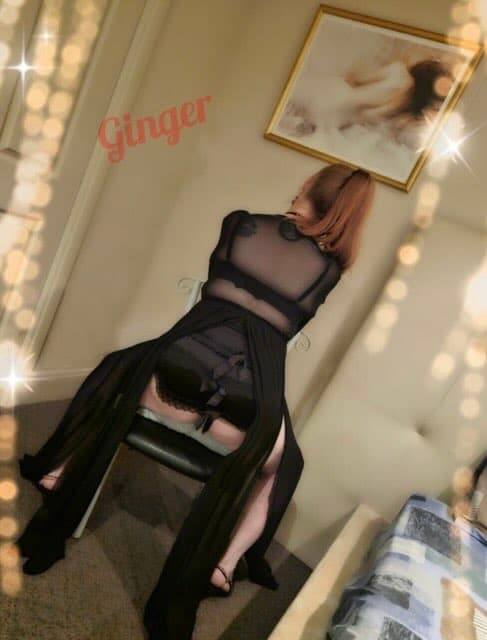 Ginger — photo 4