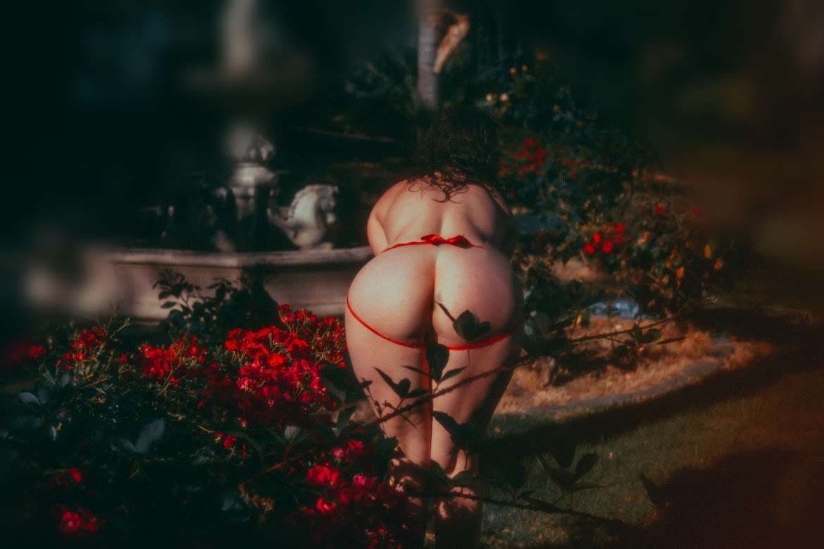 Kit — photo 9