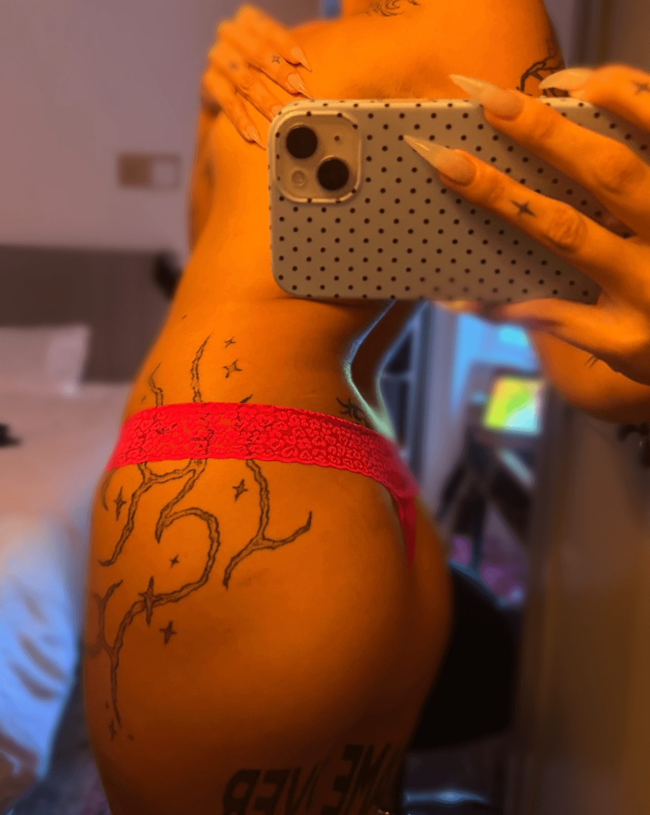 Nova — photo 2