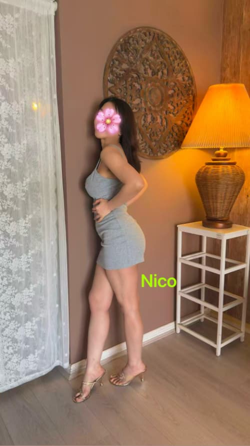 Nico — photo 2