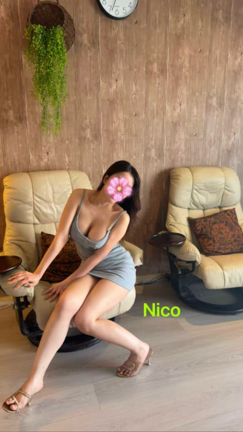 Nico — photo 3