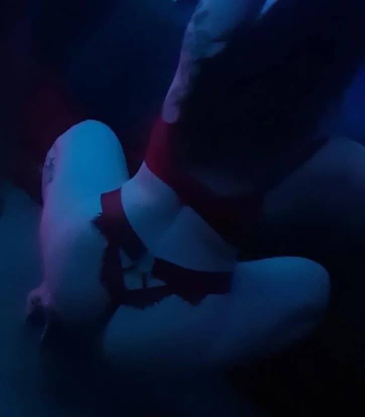 Luna — photo 6